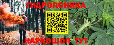 крисы Бузулук