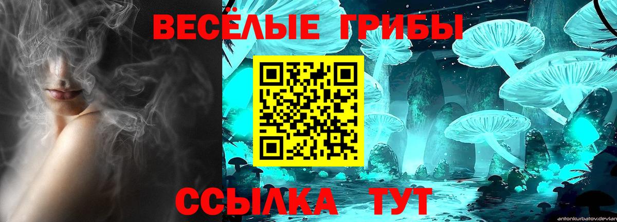Казань  Галлюциногенные грибы Magic Shrooms  Псилоцибиновые грибы мицелий  Вход с VPN 
