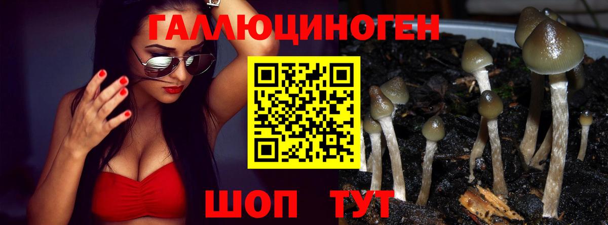 Псилоцибиновые грибы GOLDEN TEACHER Казань